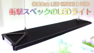 Thumbnail of post image 038